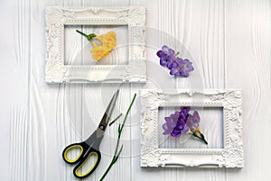 The layout of the white frames with yellow and purple flowers inside, scissors on a white wooden background