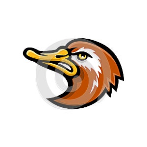 Laysan Duck Head Mascot