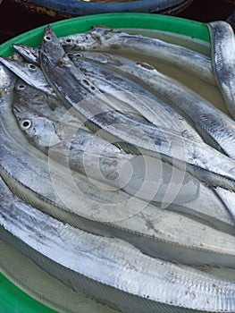 Layur fish that is still fresh because it has just been caught by fishermen for sale