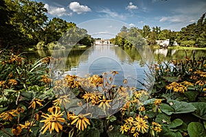 Lazienki Park in Warsaw