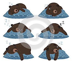 Lazy bear sleep. Sleeping cute teddy character poses on pillow, quiet winter rest, fat animal laziness vector photo