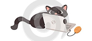 Lazy cat with laptop and computer mouse flat icon