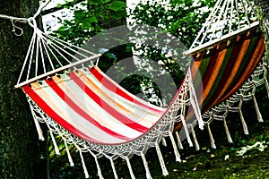 A lazy hammock in the forest