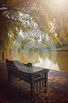 Lazy Park Bench in the Autumn Scenery