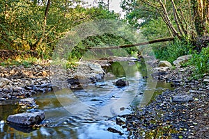 Lazy strem in the woods, Brittany,  France photo