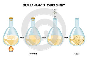 Lazzaro Spallanzani`s experiment. Spontaneous generation