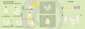 Cute Chicken white character hen ready to animate, multiple angles photo