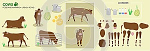 Brown cow ready to animate with multiple poses accessories. Vector photo