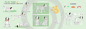 Dalmatian dog ready to animate. Vector illustration with poses, photo