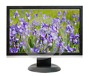 Lcd monitor