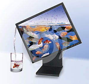 LCD monitor