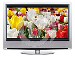 LCD Television