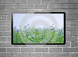 LCD tv with flower meadow on screen hanging on brick wall