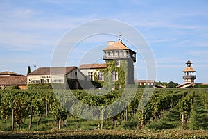 Le chateau Smith Havt Lafitte vineyard. Loupiac, Bordeaux, France.