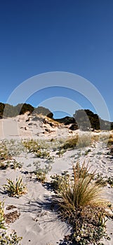 Le Dune beach near Capo Comino, Siniscola, Nuoro photo