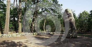 Le Geant du Mane in carnac photo