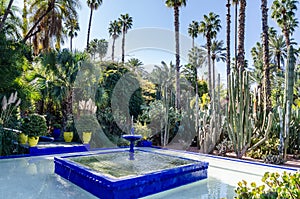 Le jardin de Marjorelle fountain