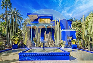 Le Jardin Majorelle, amazing tropical garden in Marrakech photo