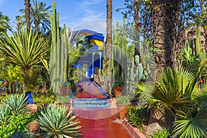 Le Jardin Majorelle, amazing tropical garden in Marrakech photo