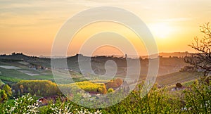 Le Langhe, Barbaresco (Piemonte, Italy)