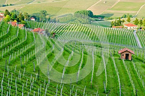 Le Langhe, Piedmont