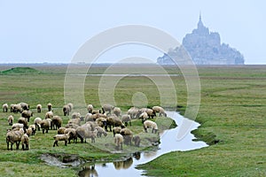 Le mont saint michel