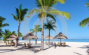 Le Morne beach Mauritius Tropical beach with palm trees and white sand blue ocean