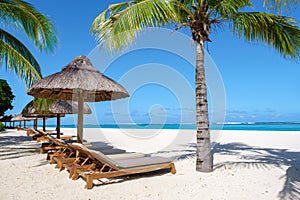 Le Morne beach Mauritius Tropical beach with palm trees and white sand blue ocean