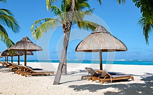 Le Morne beach Mauritius Tropical beach with palm trees and white sand blue ocean