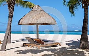 Le Morne beach Mauritius Tropical beach with palm trees and white sand blue ocean