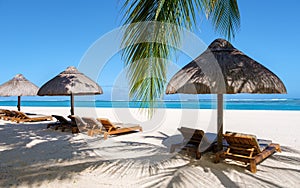 Le Morne beach Mauritius Tropical beach with palm trees and white sand blue ocean