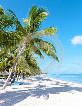 Le Morne beach Mauritius Tropical beach with palm trees and white sand blue ocean