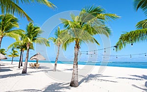 Le Morne beach Mauritius Tropical beach with palm trees and white sand blue ocean