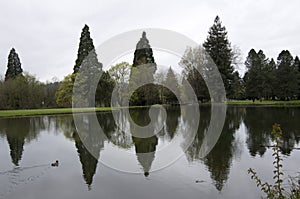 Leach Botanical Garden portland oregon