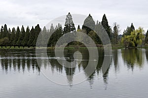 Leach Botanical Garden portland oregon