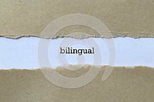Bilingual word on white paper