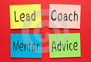 Lead Coach Mentor Advice