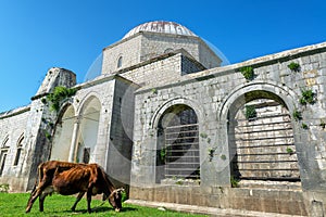 Lead Mosque in Shkoder, Albania