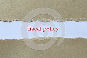 Fiscal policy on white paper