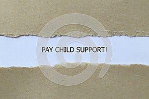pay child support on white paper