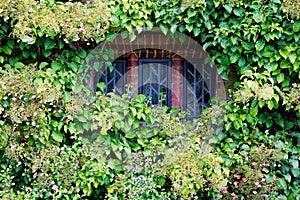 Leaded window