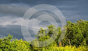 Leaden clouds over the forest