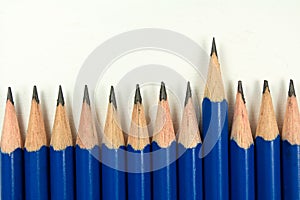 Leader of the pencils