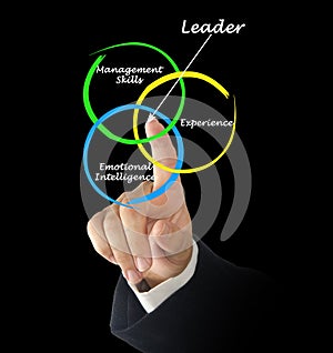 Leader qualities photo
