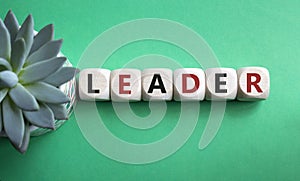 Leader symbol. Concept word Leader on wooden cubes. Beautiful green background. Business and Leader concept. Copy space