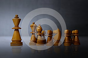 Leadership concept with chess pieces
