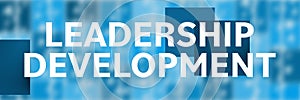 Leadership Development Blue Blur Background Boxes Text Horizontal