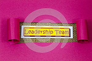 Leadership people team business group success leader partnership trust cutout