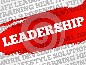 LEADERSHIP word cloud