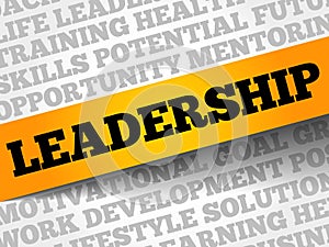 LEADERSHIP word cloud